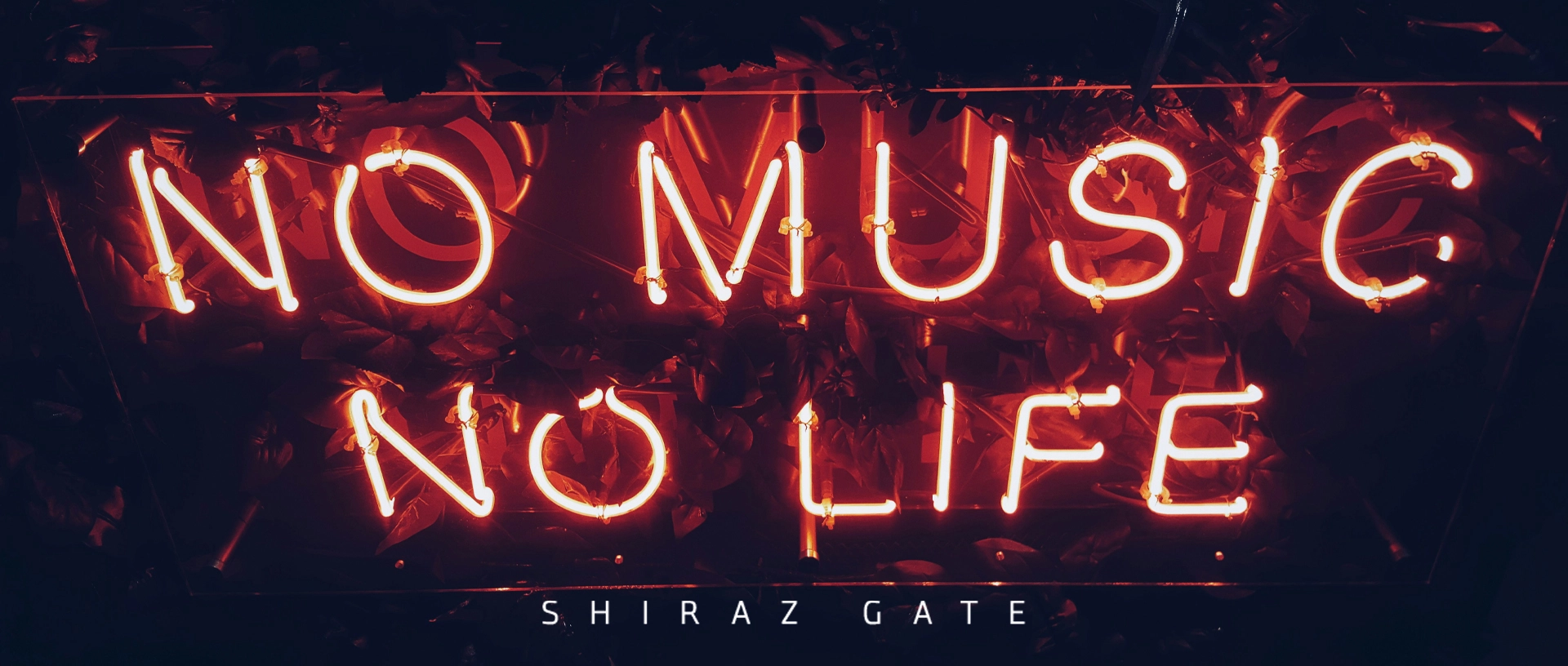تصویر دارای نوشته no music no life